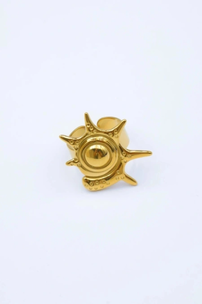 Bague en acier inoxydable ajustable 2