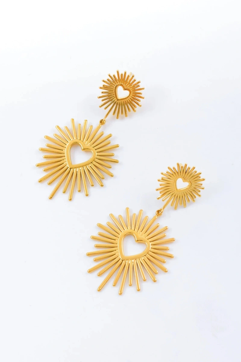 Stainless steel earrings 2