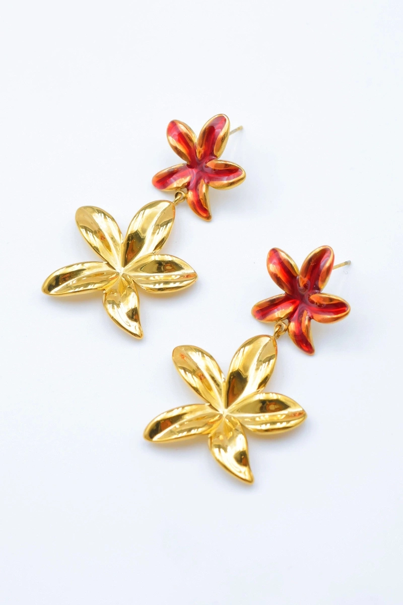 Stainless steel earrings 2