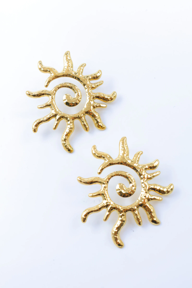 Stainless steel earrings 2