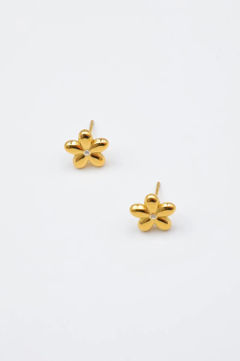 Boucles d'oreilles en acier inoxydable 2