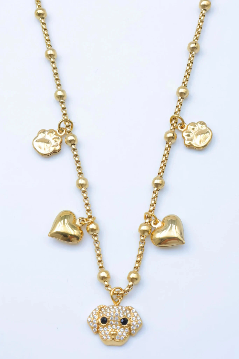 Collier en acier inoxydable 2