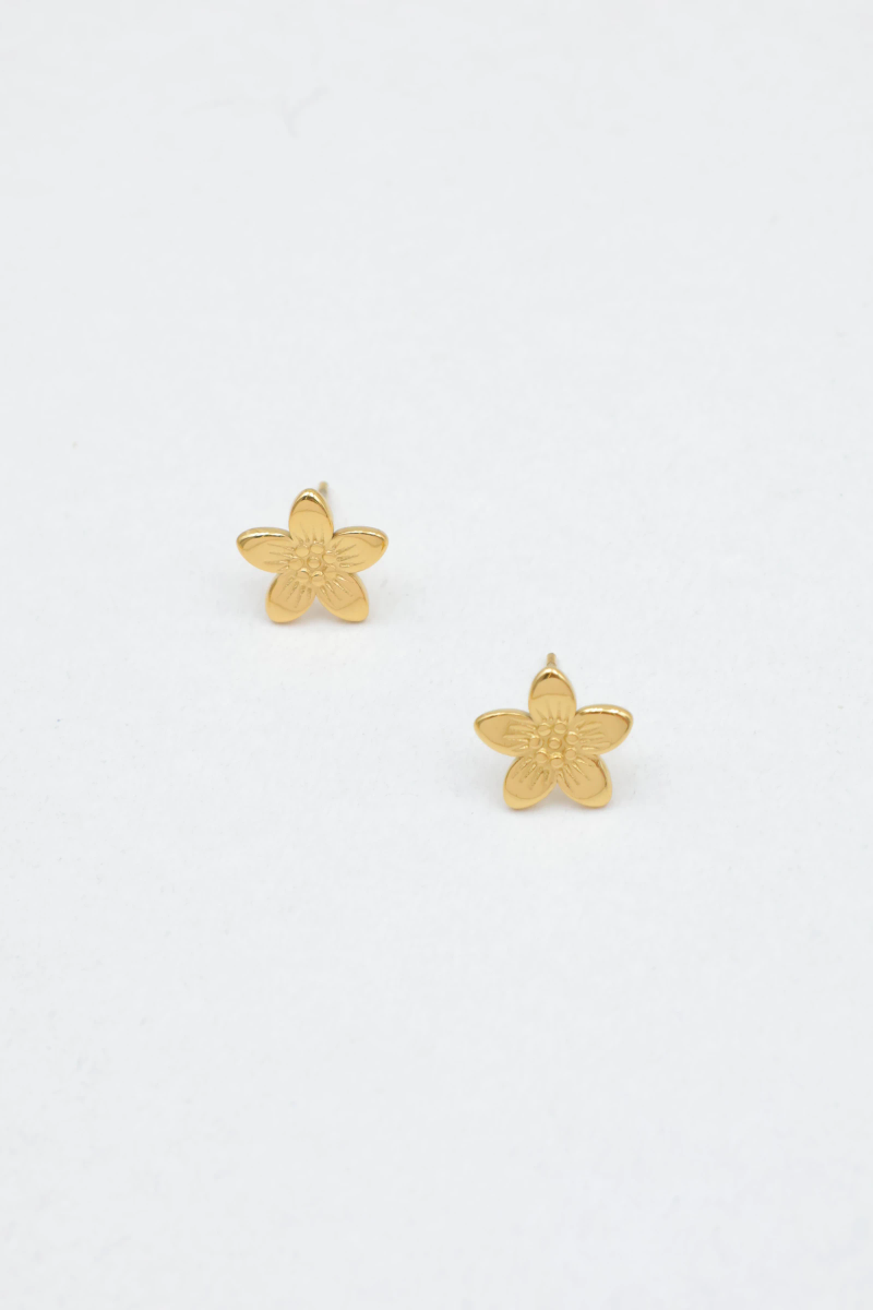 Stainless steel earrings 2