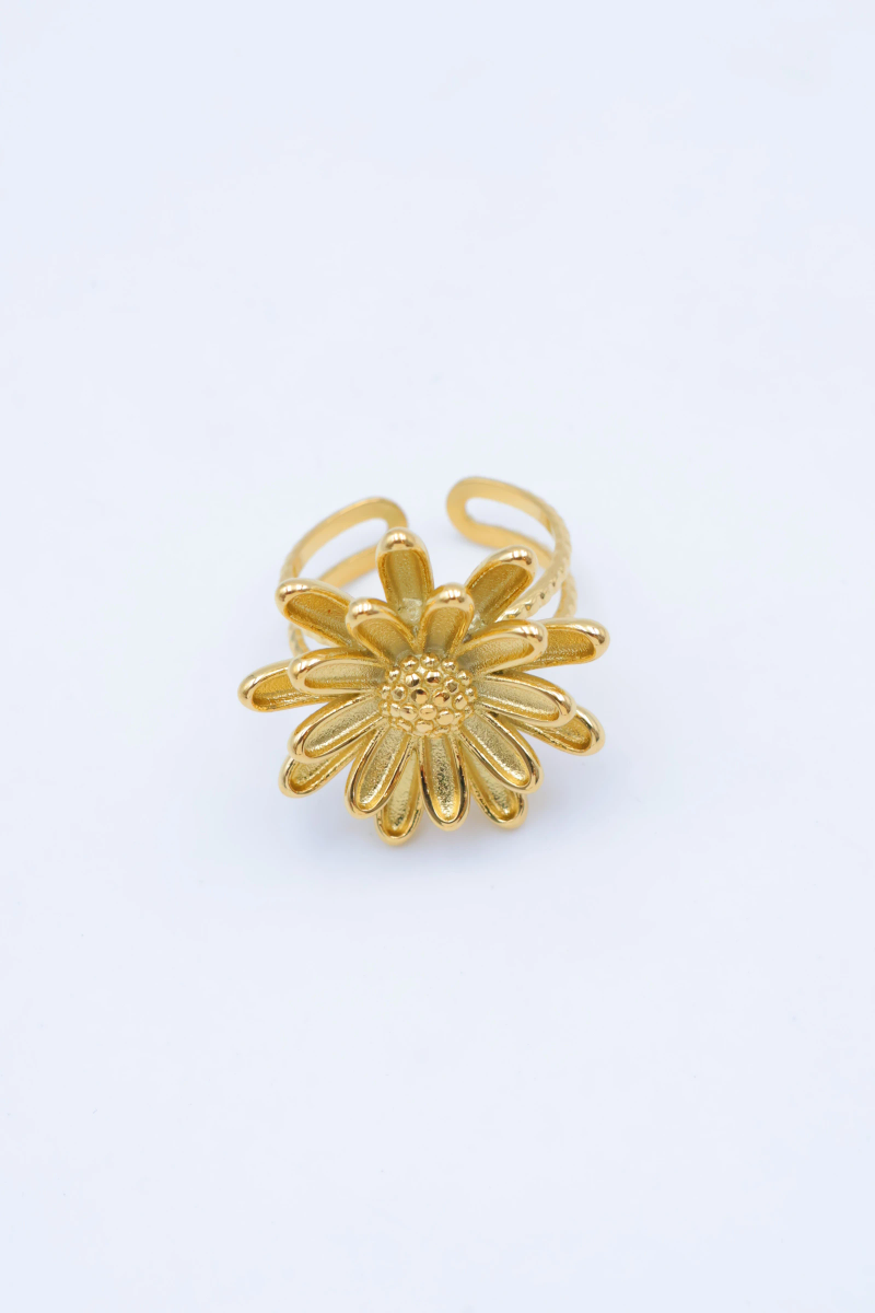 Adjustable stainless steel ring 2