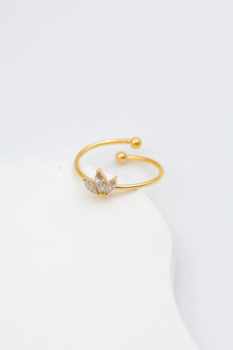 Adjustable stainless steel ring 3