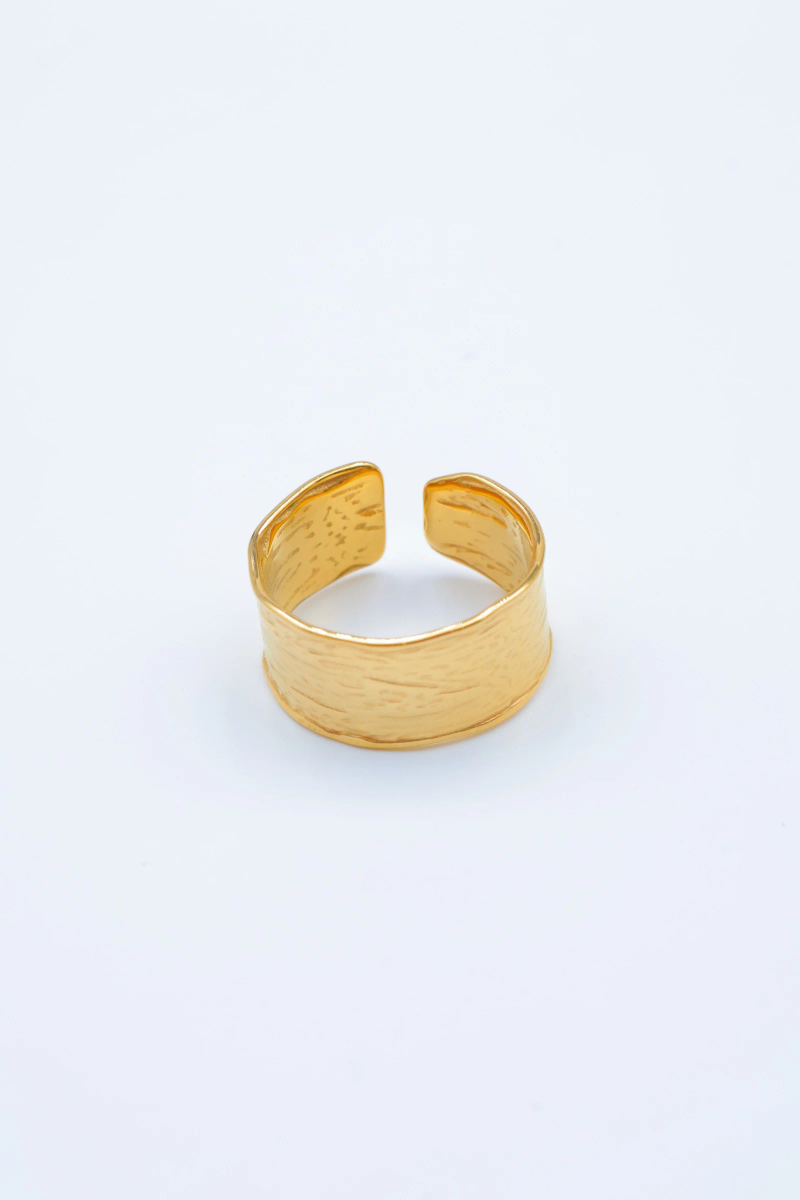 Bague en acier inoxydable ajustable 2