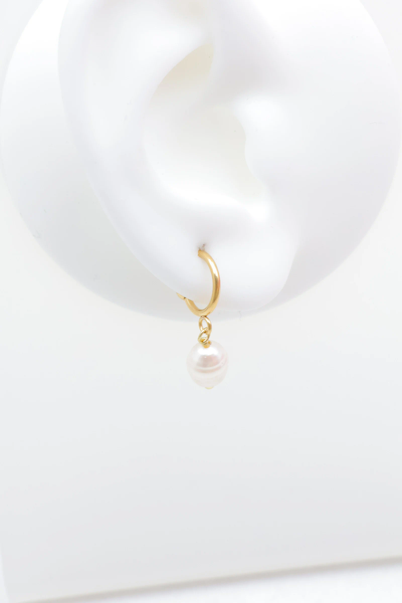 Stainless steel earrings 2