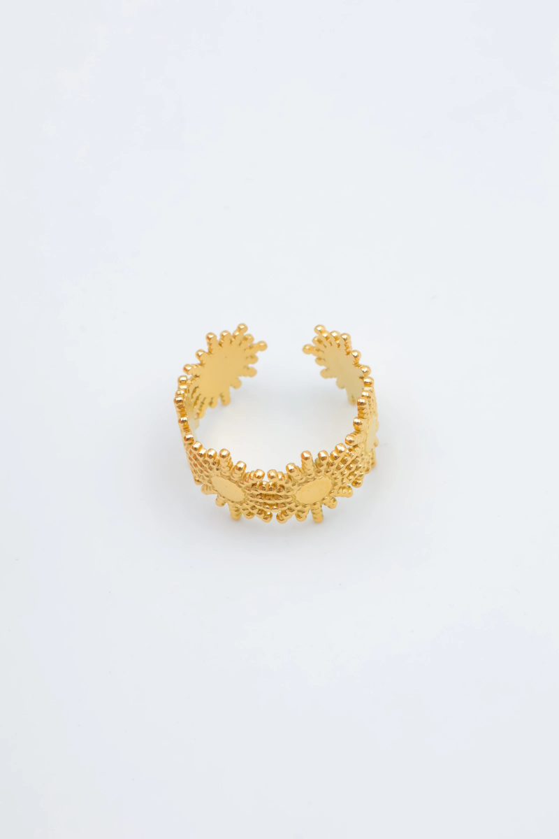 Bague en acier inoxydable ajustable 2