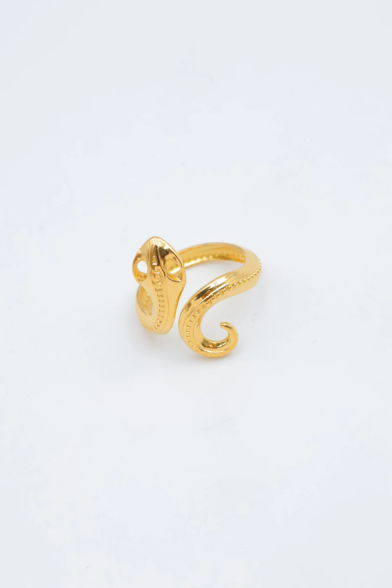 Bague en acier inoxydable ajustable 2