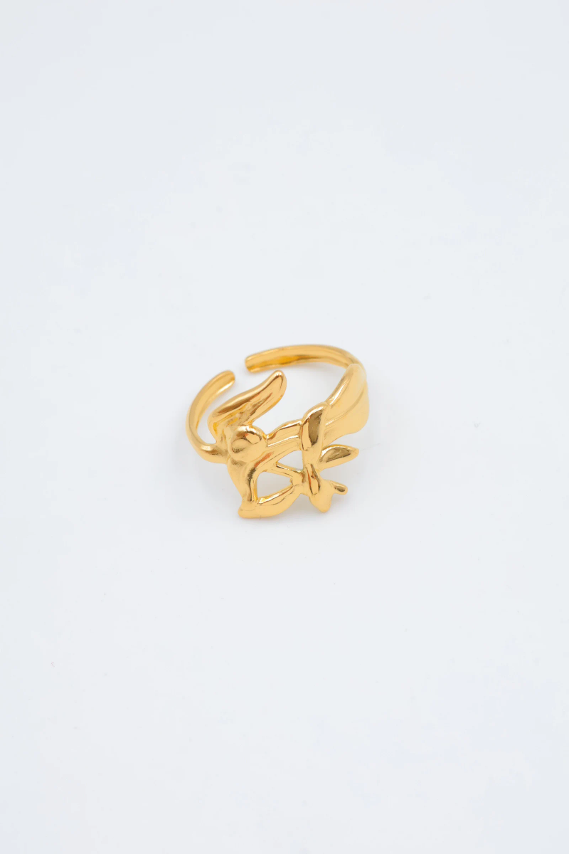Adjustable stainless steel ring 3