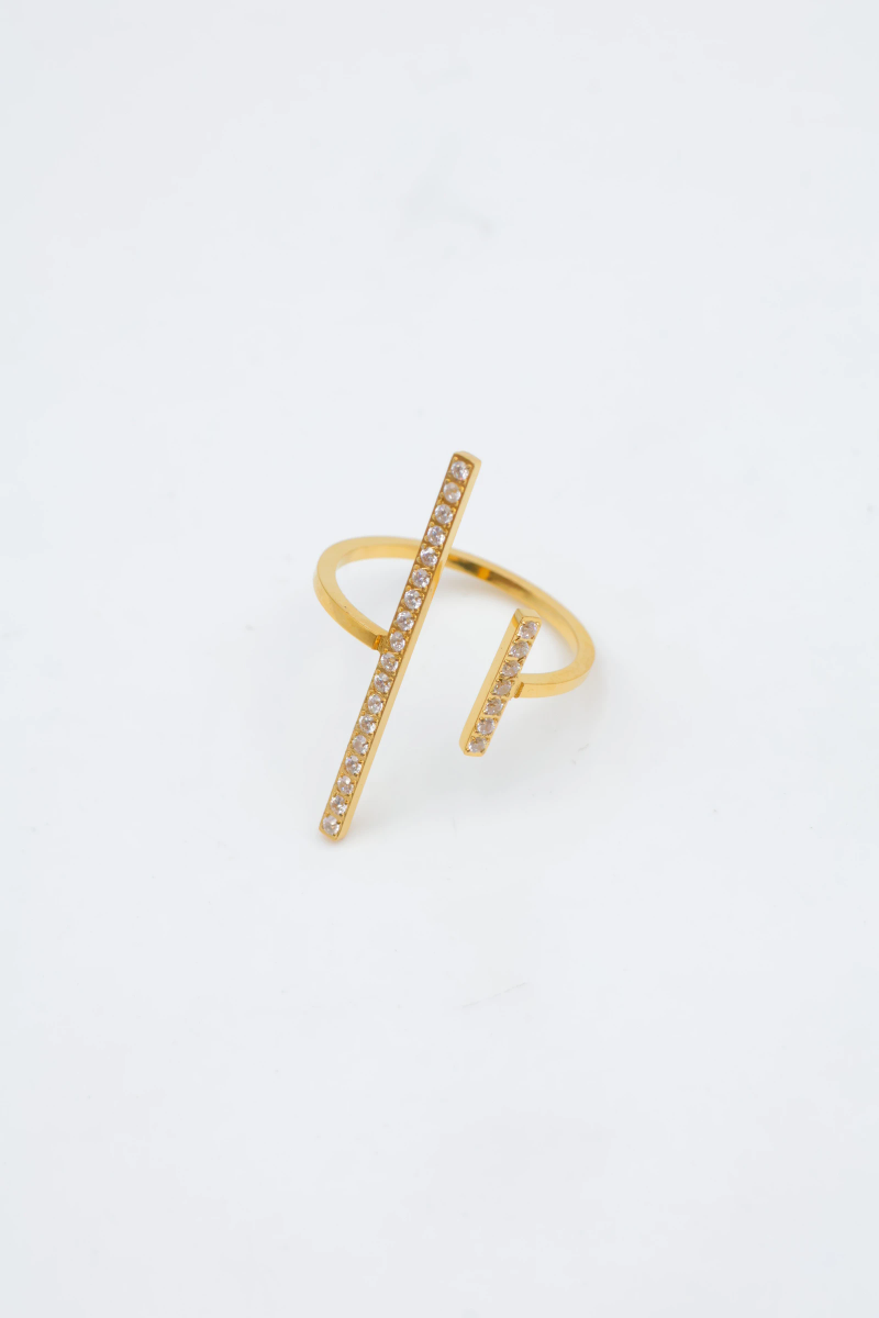 Adjustable stainless steel ring 2