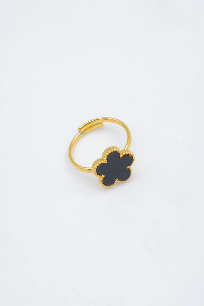 Adjustable stainless steel ring 2