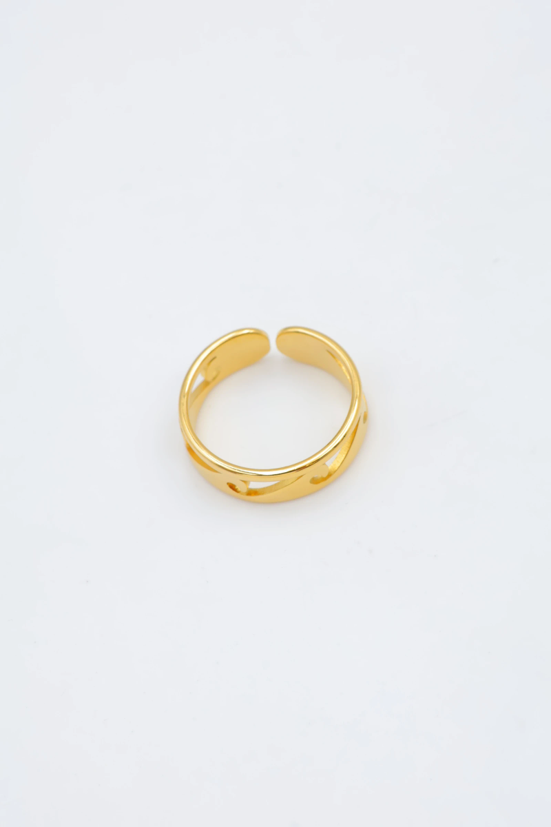 Adjustable stainless steel ring 2