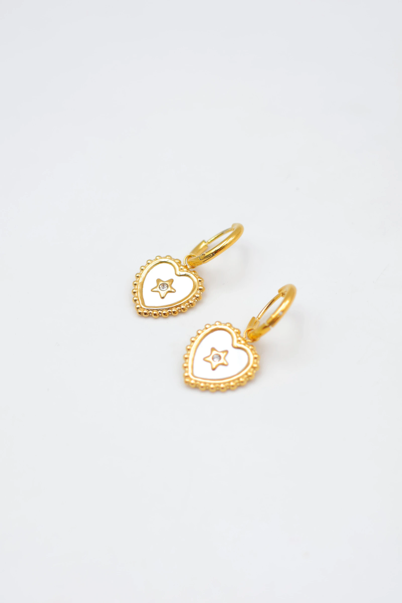 Stainless steel earrings 2