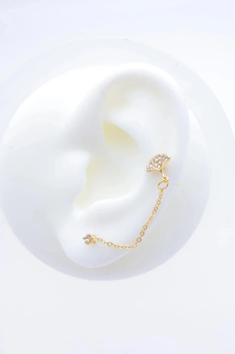 Stainless steel earrings 2