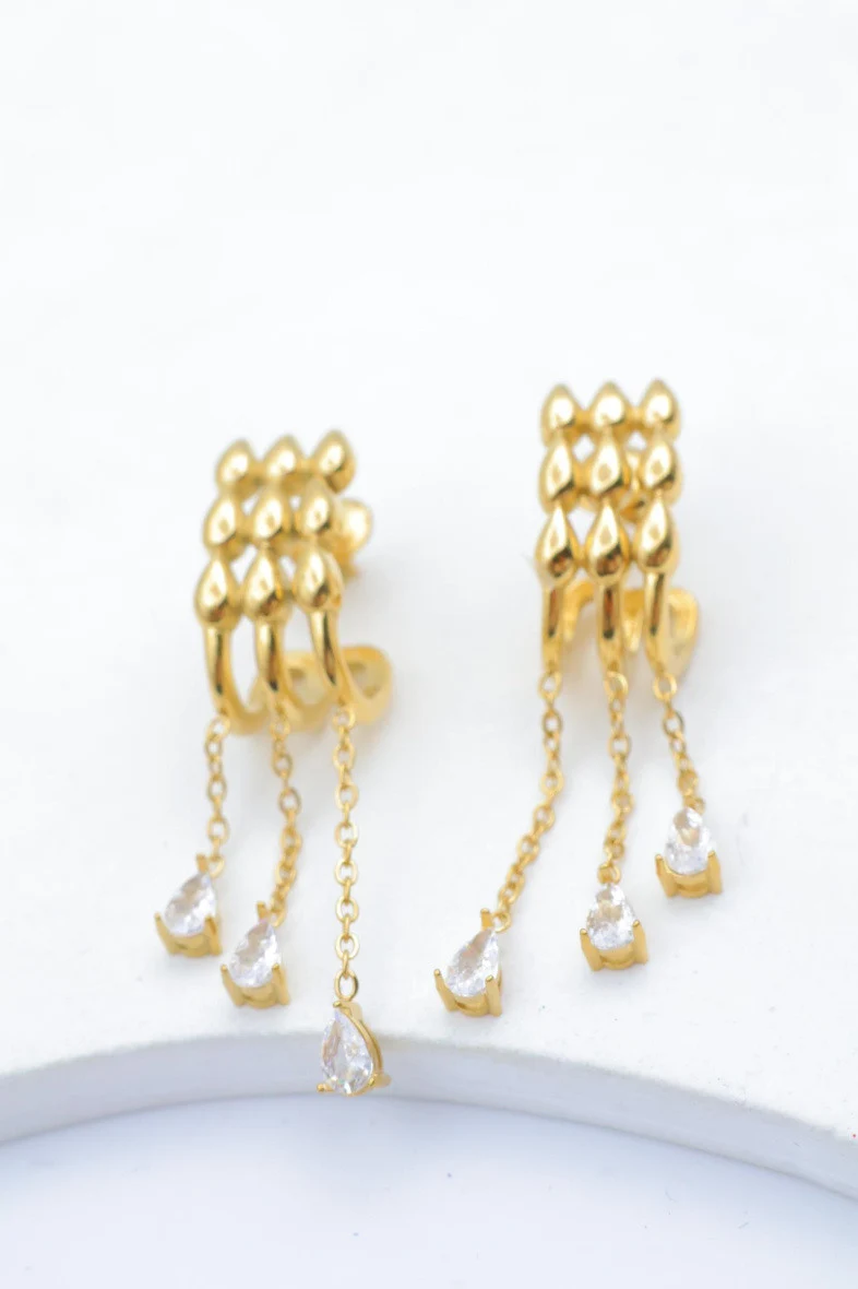 Stainless steel earrings 2