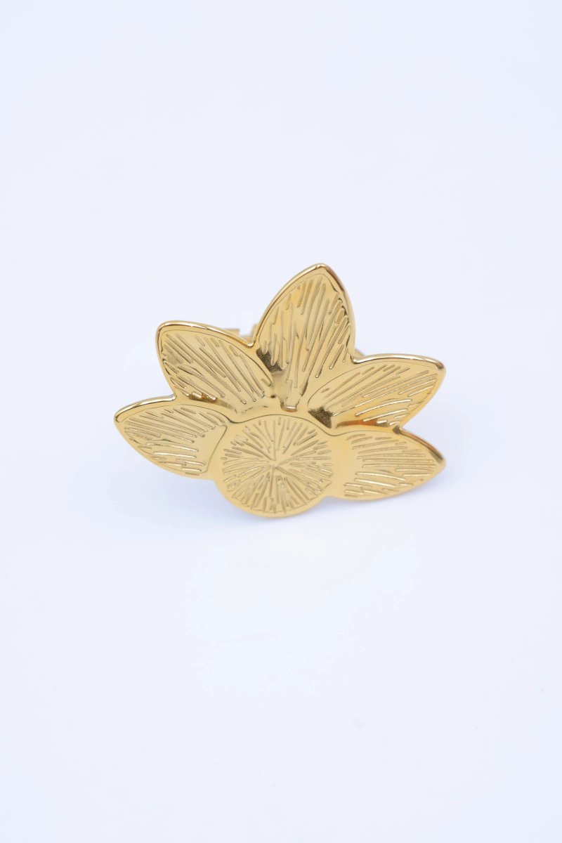 Adjustable stainless steel ring 2