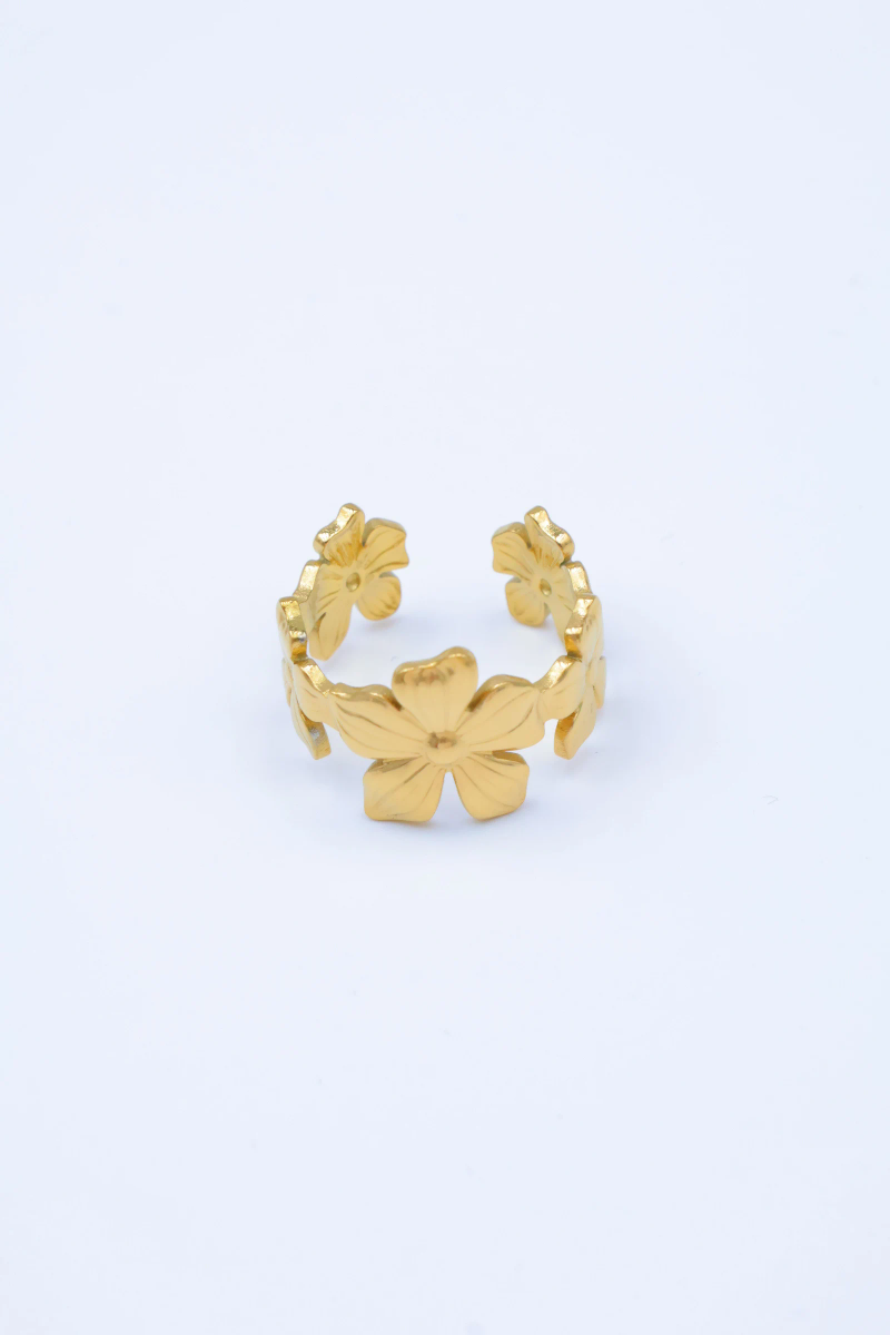 Adjustable stainless steel ring 2