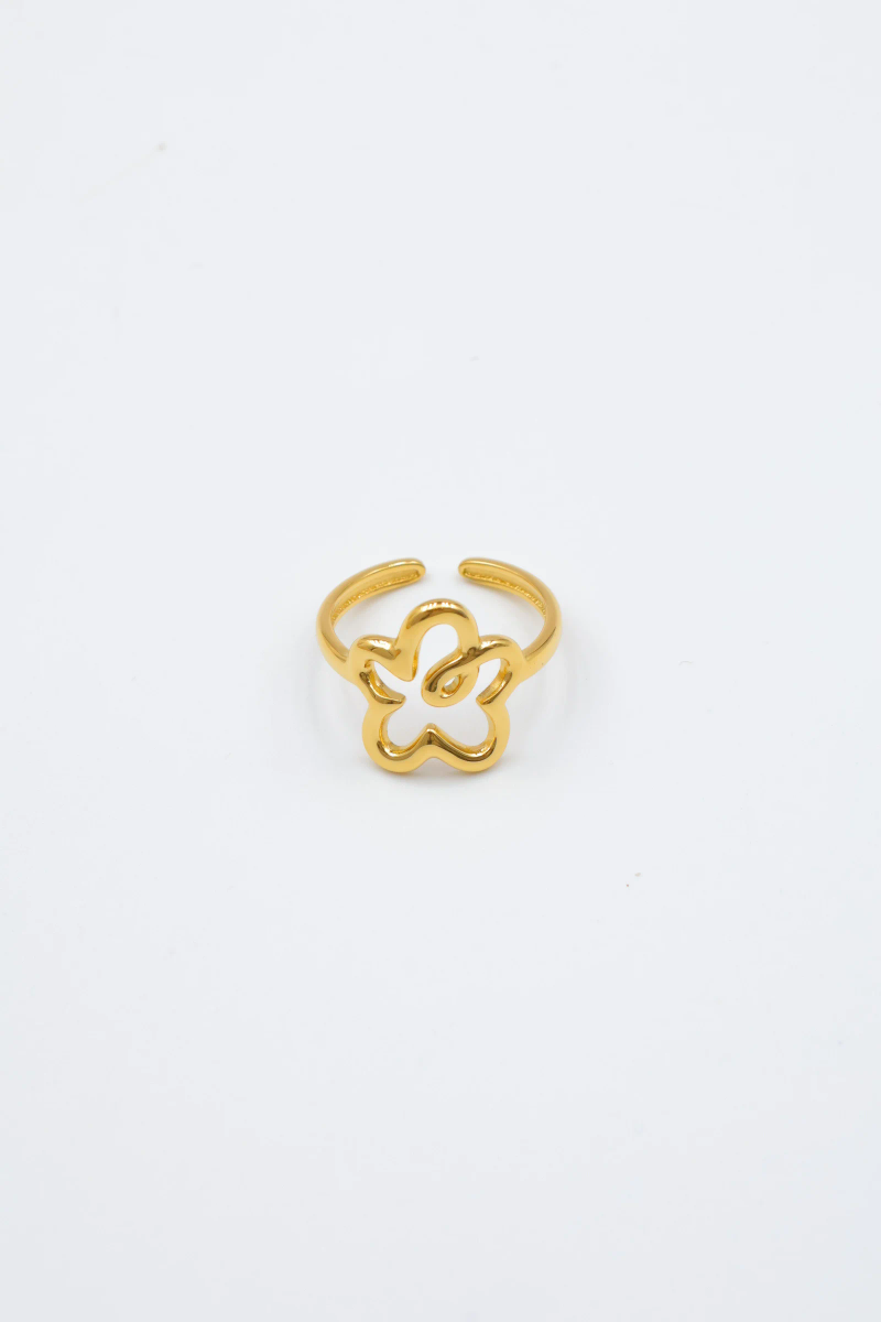 Adjustable stainless steel ring 2
