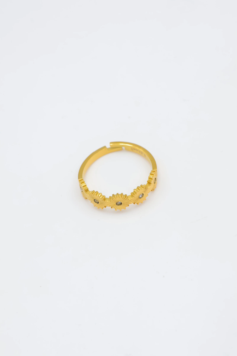 Adjustable stainless steel ring 2