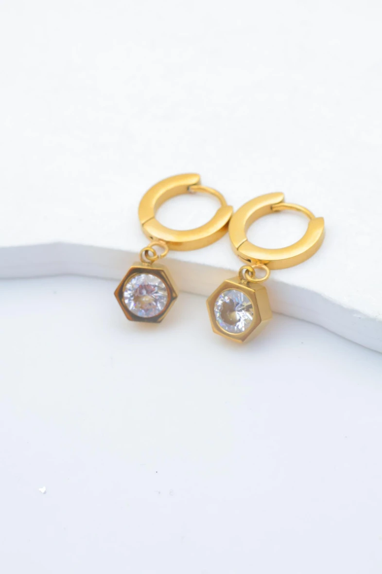 Earrings 2