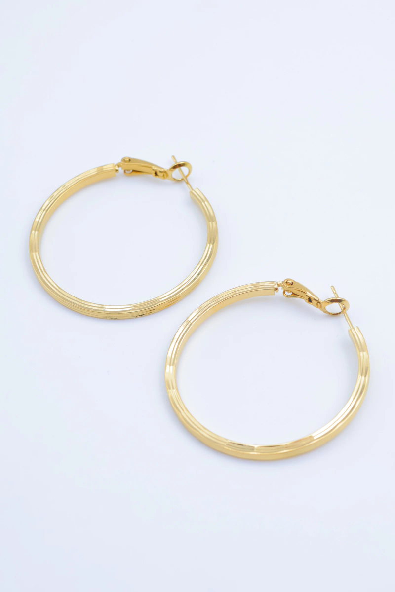 Stainless steel earrings 2