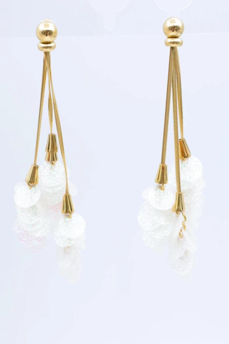Stainless steel earrings 3