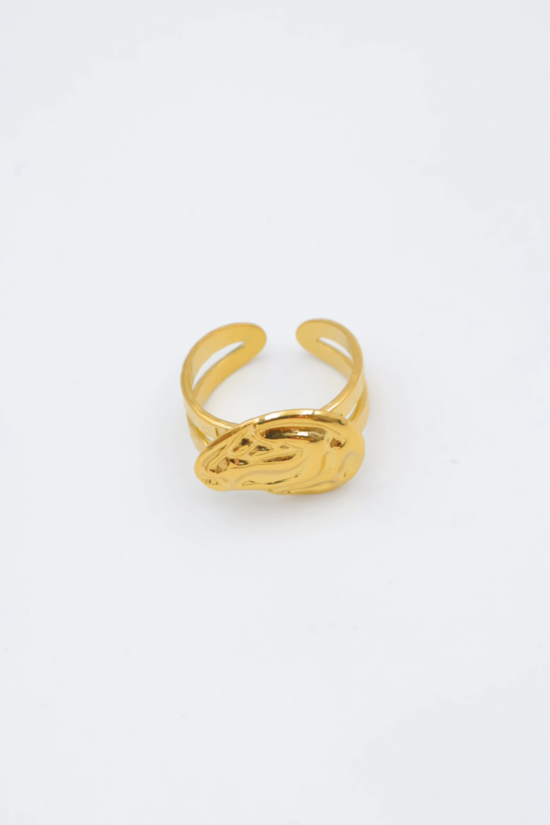 Bague en acier inoxydable ajustable 2
