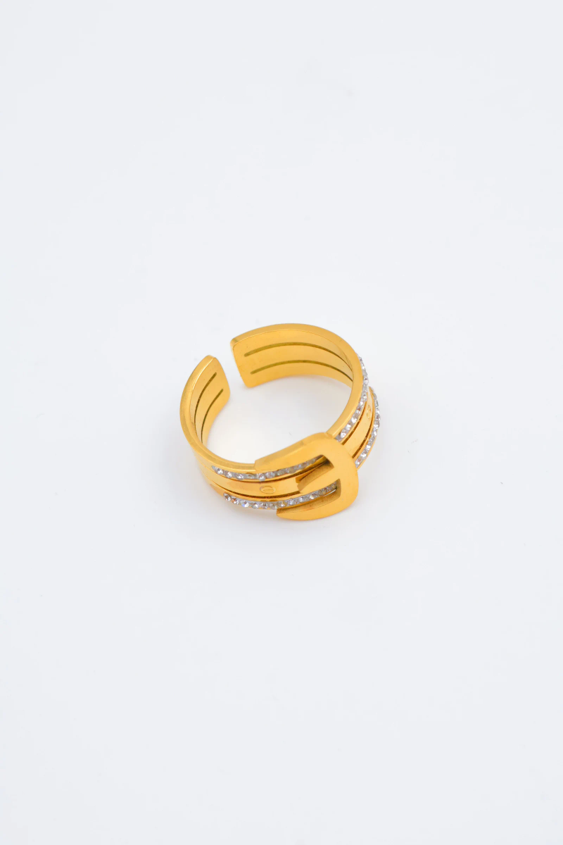 Adjustable stainless steel ring 2