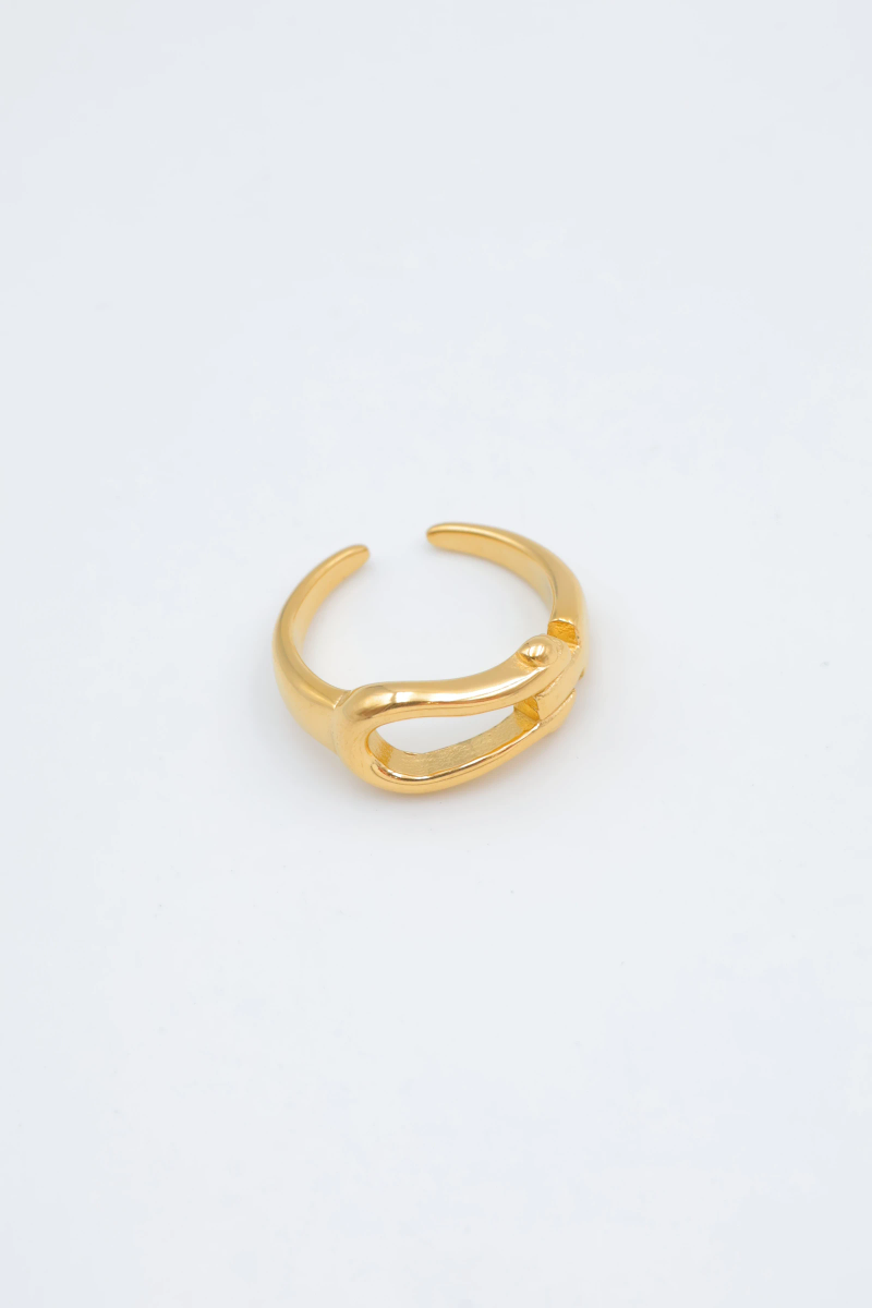 Adjustable stainless steel ring 2