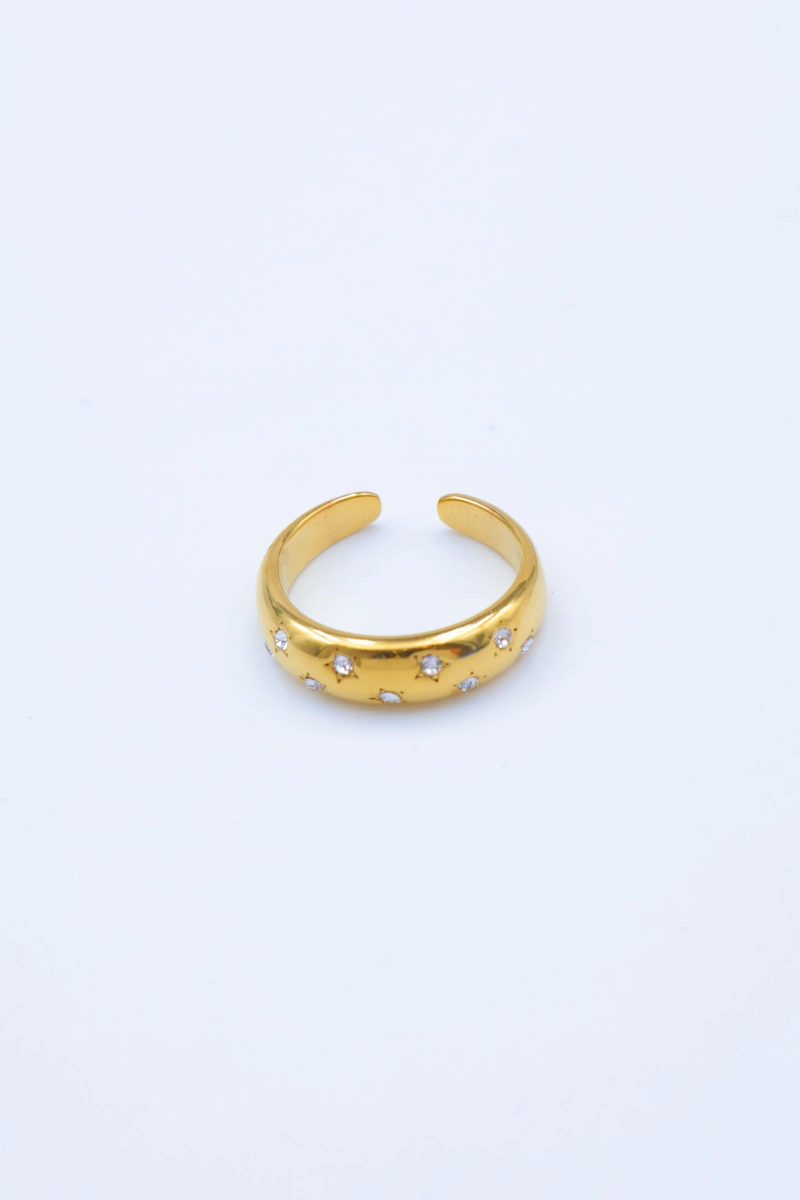 Adjustable stainless steel ring 2