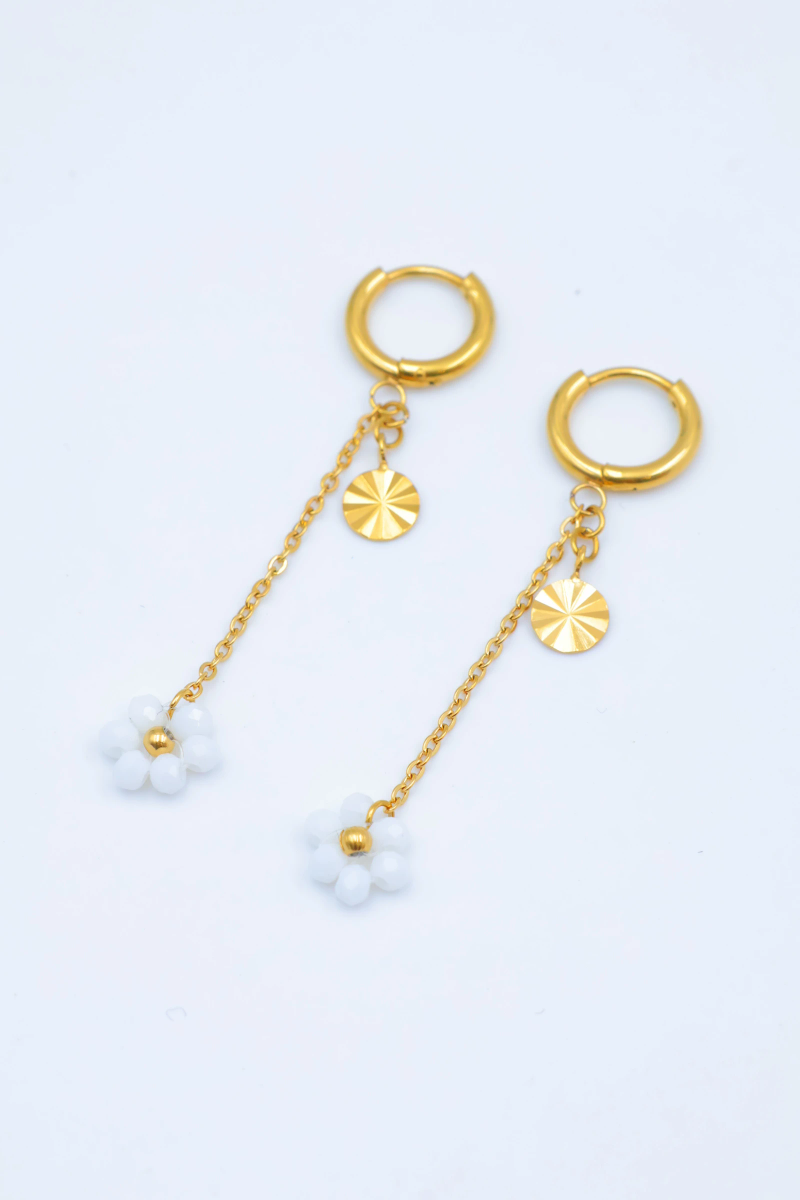 Stainless steel earrings 2