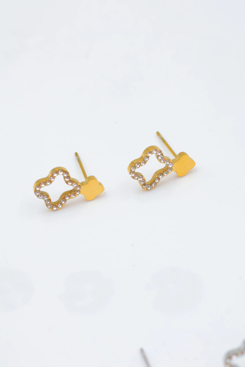 Stainless steel earrings 2