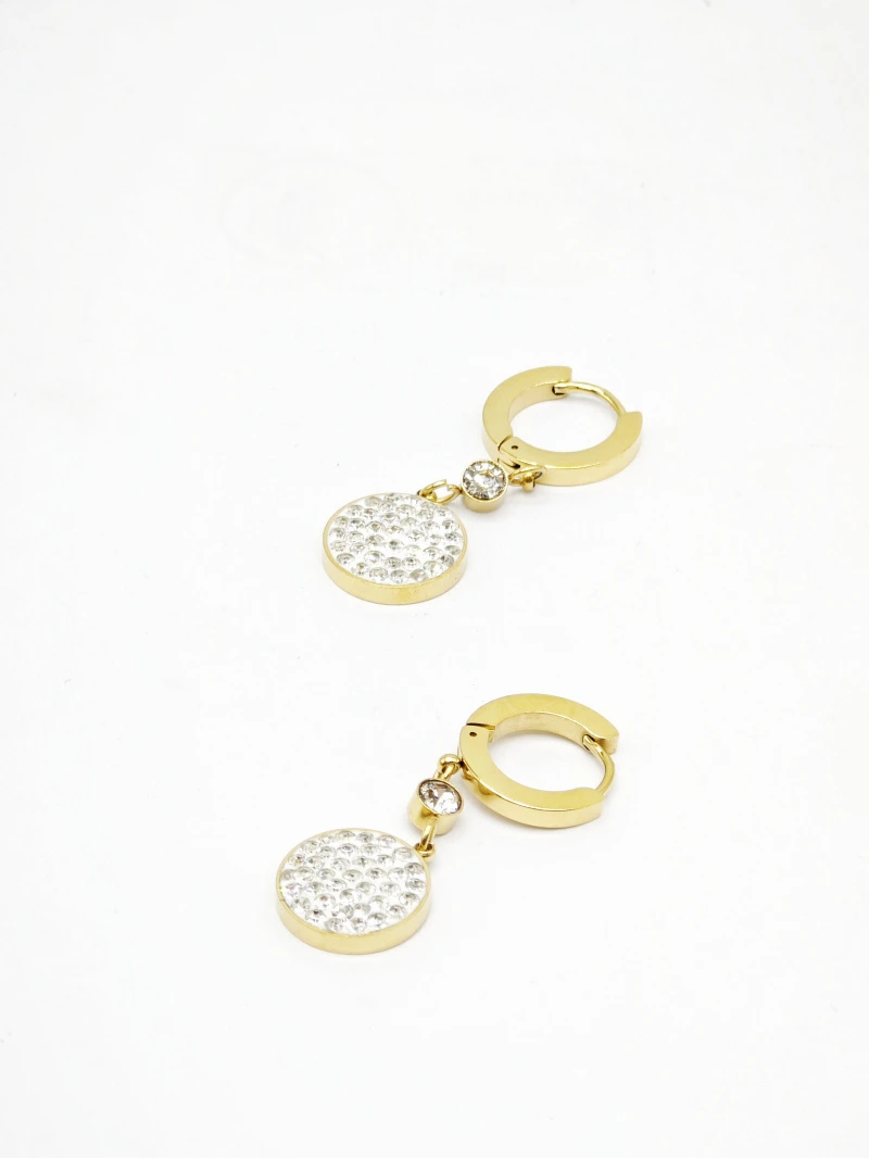 Stainless steel earrings 2