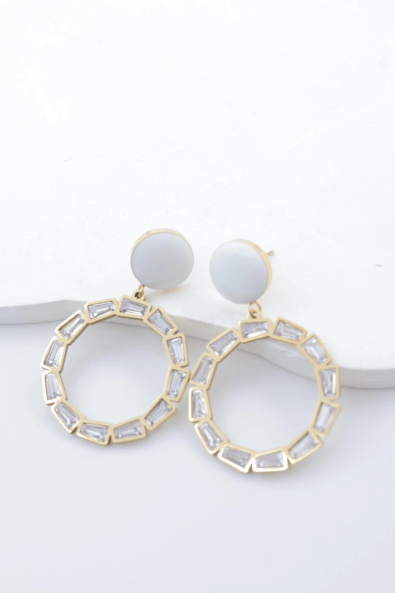 Stainless steel earrings 2