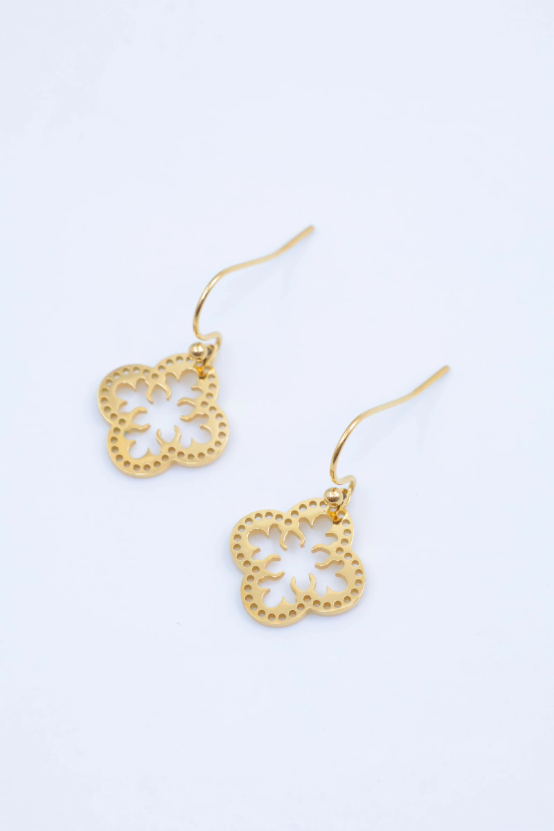 Stainless steel earrings 2