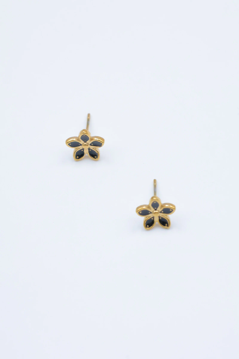 Boucles d'oreilles en acier inoxydable