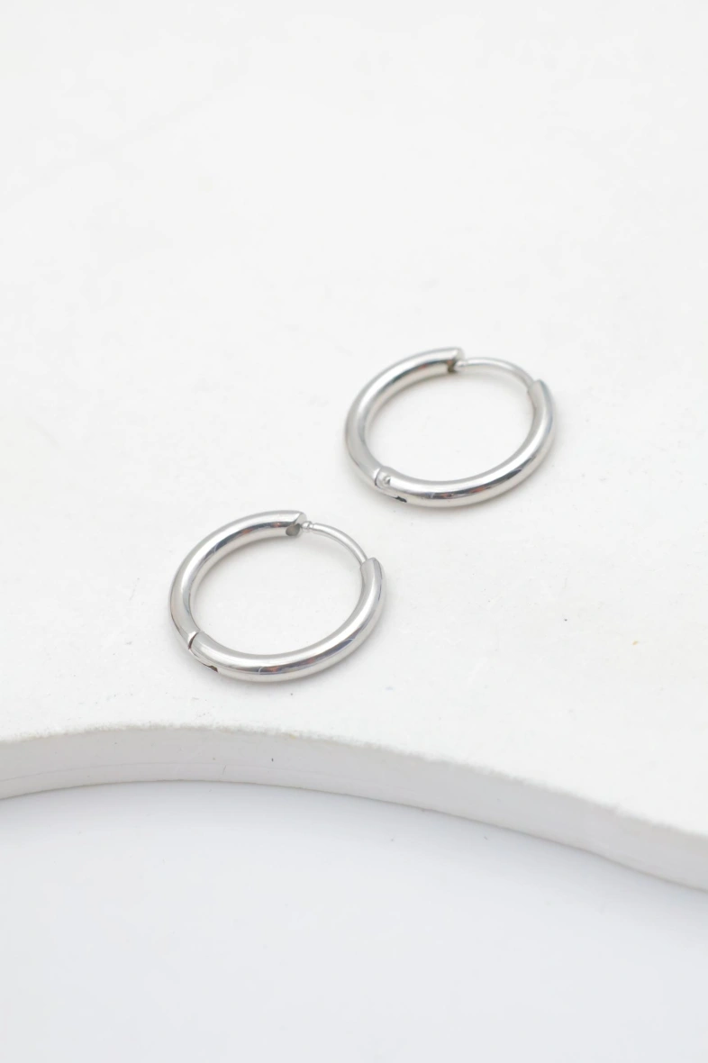Stainless steel earrings 2