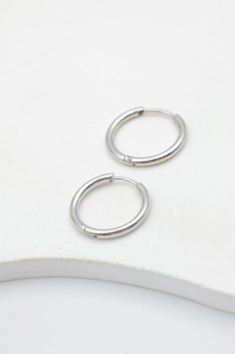 Stainless steel earrings 3