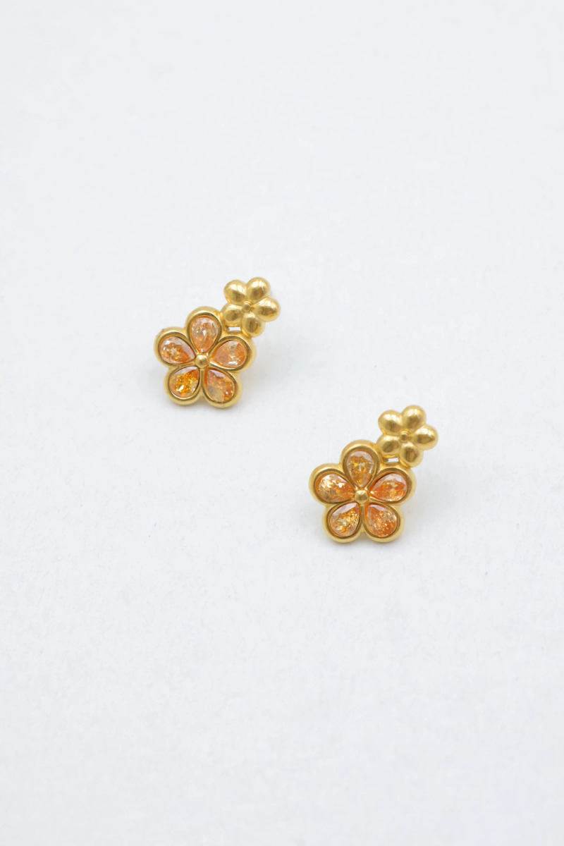 Stainless steel earrings 2