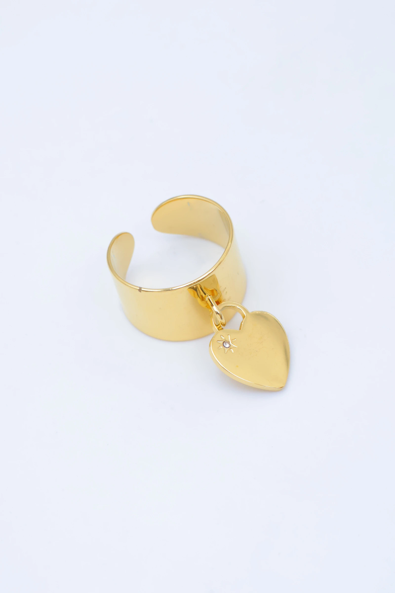 Bague en acier inoxydable ajustable 2