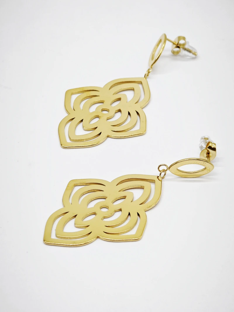 Stainless steel earrings 2