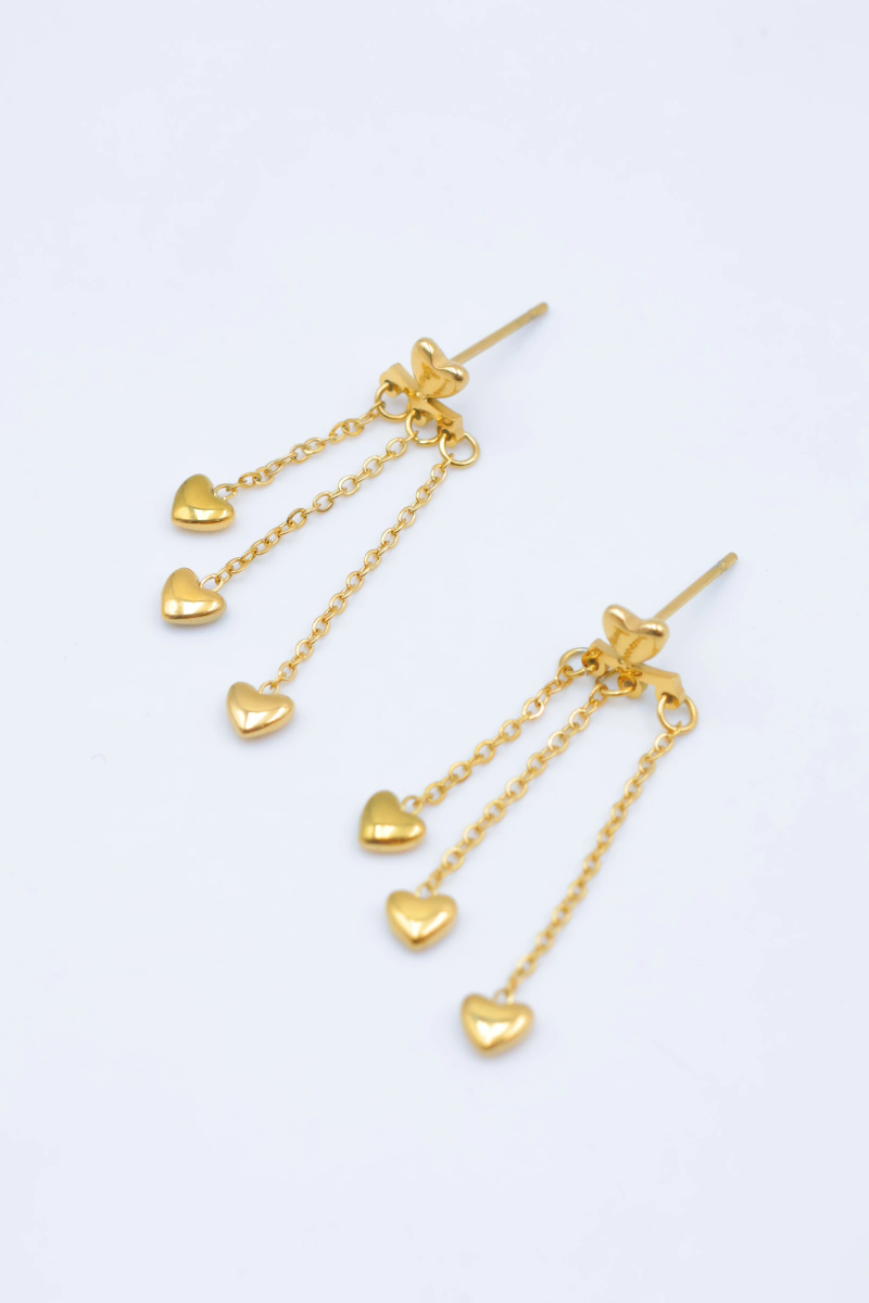 Boucles d'oreilles en acier inoxydable 2