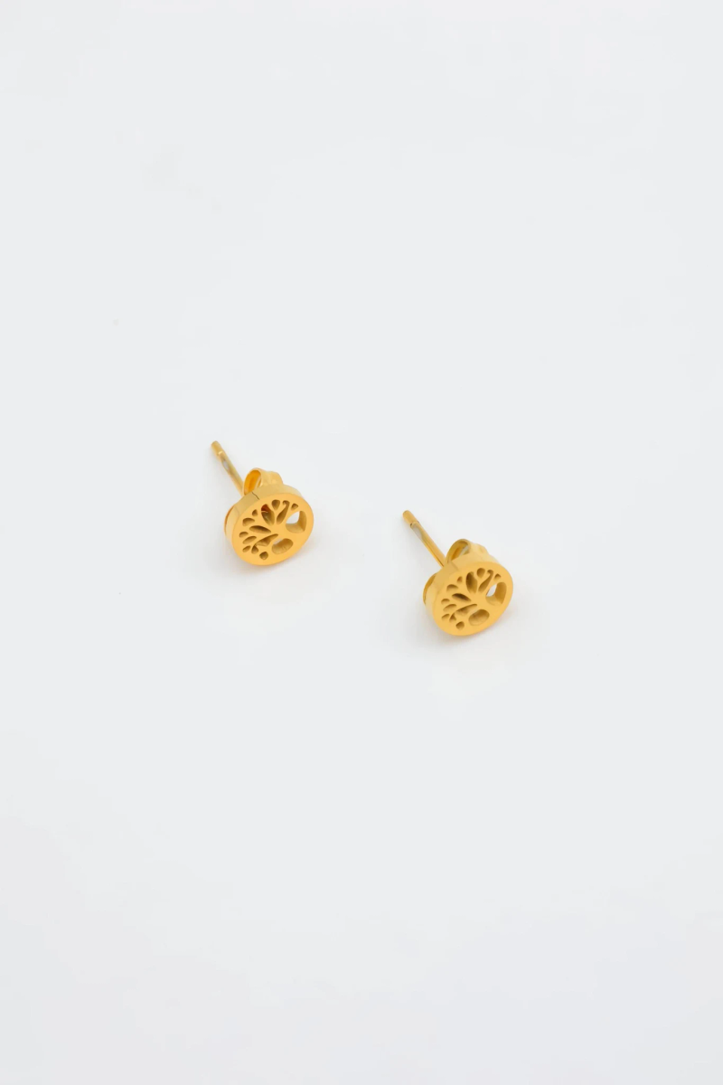 Stainless steel earrings 2