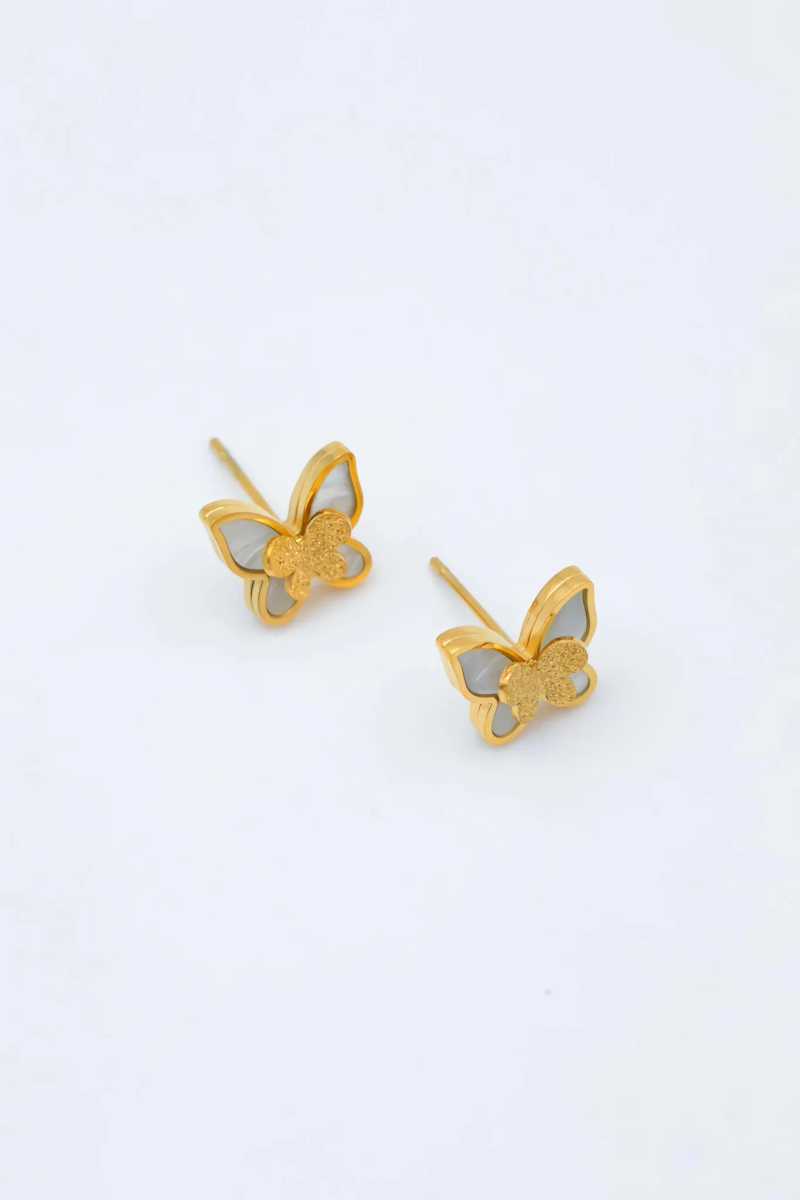 Stainless steel earrings 2