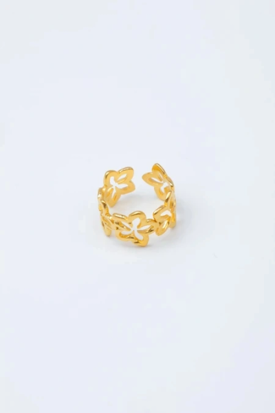 Adjustable stainless steel ring 2