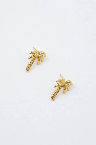 Stainless steel earrings 2