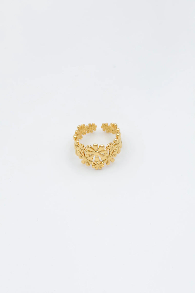 Bague ajustable en acier inoxydable 2