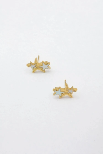Stainless steel earrings 2
